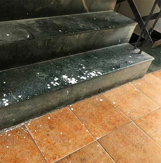 granieten trap vloer laten schoonmaken SchoneVloeren.nl